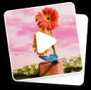 GIF icon