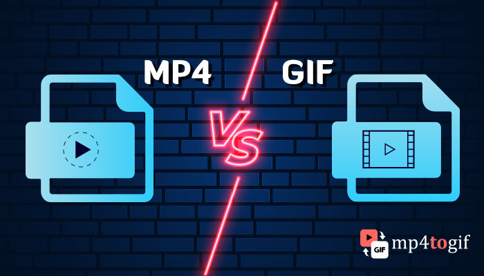 Difference Between GIF VS VIDEO