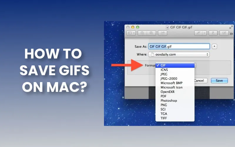 How to save gifs on Mac