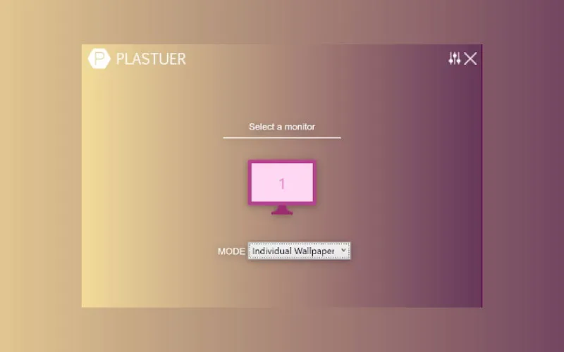 Plastuer