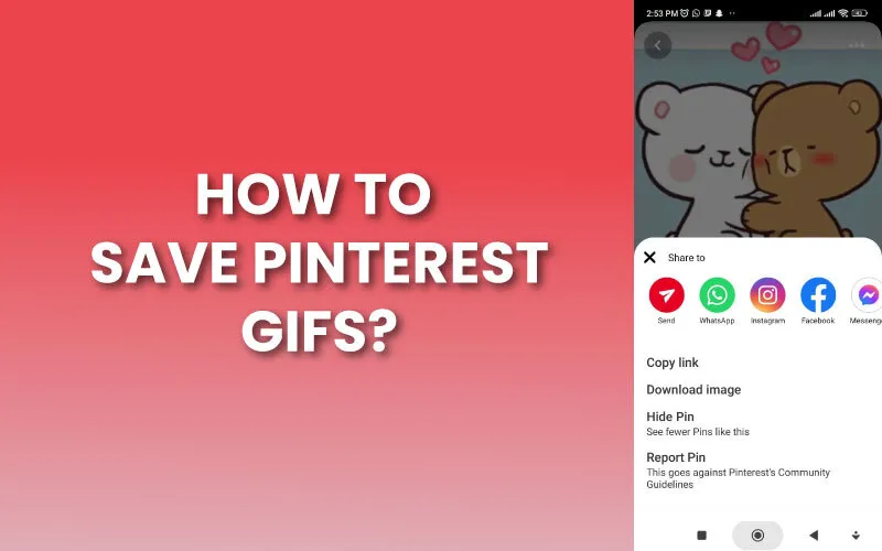 How to save gifs from Pinterest