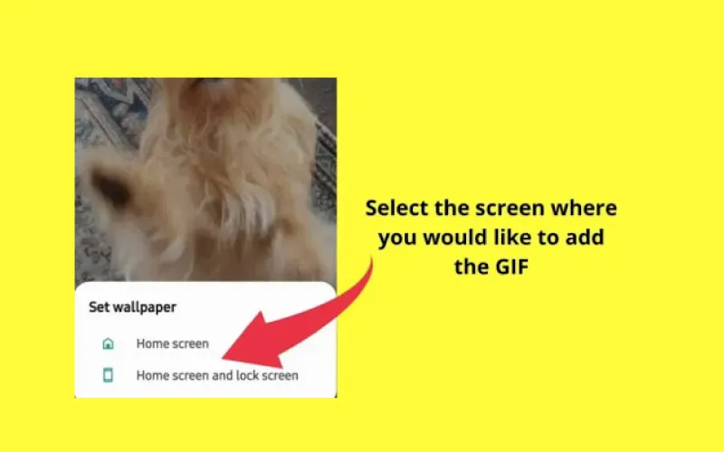 animated gifs for android